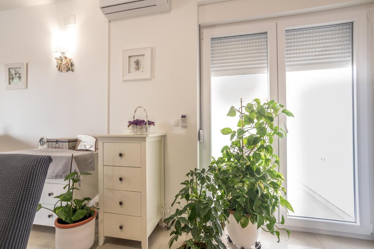 Apartments Sandrina Vrsi Ngoại thất bức ảnh